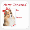 Search for sheltie stickers Animal