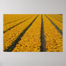 Search for netherlands posters Tourism