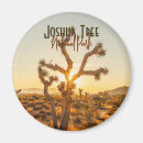 Search for joshua tree magnets Southwest