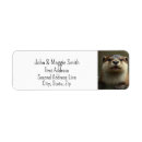 Search for otters return address labels Wildlife