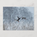 Search for flying birds postcards Hunting