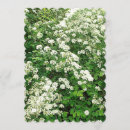 Search for bush invitations Flowers