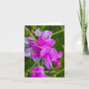 Search for orchids cards Thinking of you