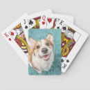 Search for corgi playing cards Canine
