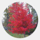 Search for bushes stickers Leaves