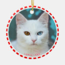 Search for cat in frame christmas tree decorations Cute