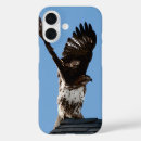Search for hawk iphone cases Raptor