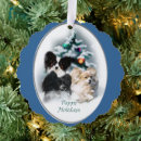 Search for papillon christmas cards Pets