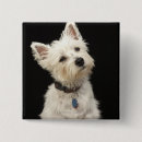 Search for highland badges Animal