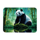 Search for giant rectangular magnets Blue