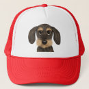 Search for boar accessories Wire haired dachshund
