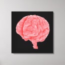 Search for neuroanatomy art Human brain