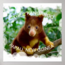 Search for kangaroo posters Nature