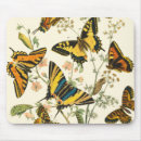 Search for nature mouse mats Insects