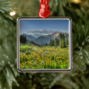Search for colorado christmas tree decorations Nature