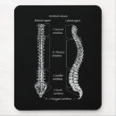 Search for skeletons electronics Backbone