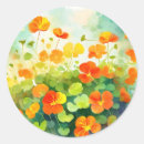 Search for nasturtium stickers Orange
