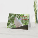 Search for symbol of peace cards Nature