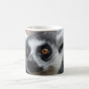 Search for lemur mugs Ring tailed lemur