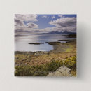 Search for scotland square badges Blue