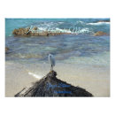 Search for puerto vallarta posters Ocean