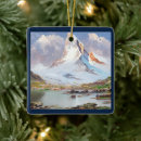 Search for snowy christmas tree decorations Frozen