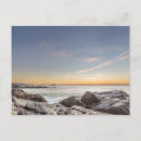 Search for catarina postcards Horizontal
