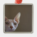 Search for sphynx cat christmas tree decorations Hairless