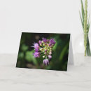 Search for allium cards Nature