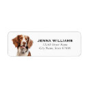 Search for brittany return address labels Cute