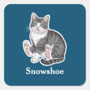 Search for cartoon paws stickers Cat