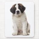 Search for bernard mouse mats Puppy