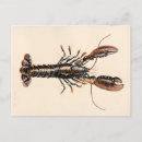 Search for shellfish postcards Food