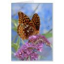 Search for fritillary Blue