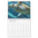 Search for turtle calendars Sea
