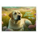 Search for labrador retriever dog postcards Beautiful