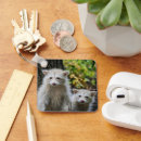 Search for animal hide key rings Hiding