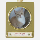 Search for pet memorials Cat