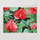 Search for anthuriums postcards Tropical