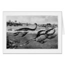 Search for plesiosaur Prehistoric