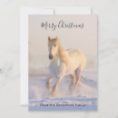 Search for horse christmas cards Beautiful