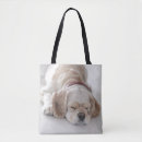 Search for dog sleeping bags Pets