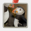 Search for puffin christmas tree decorations Iceland