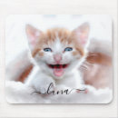 Search for orange cat electronics Modern