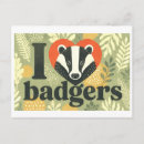Search for badgers postcards Illustration