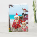 Search for funny dog and cat christmas cards Humour