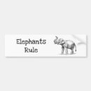 Search for endangered animals bumper stickers Africa