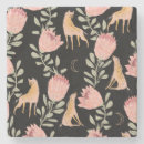 Search for protea coasters Nature