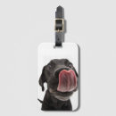 Search for retriever travel accessories Pet