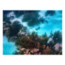 Search for diver art Marine